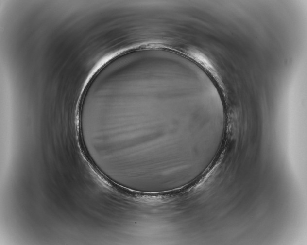 X0000086881428200704300928