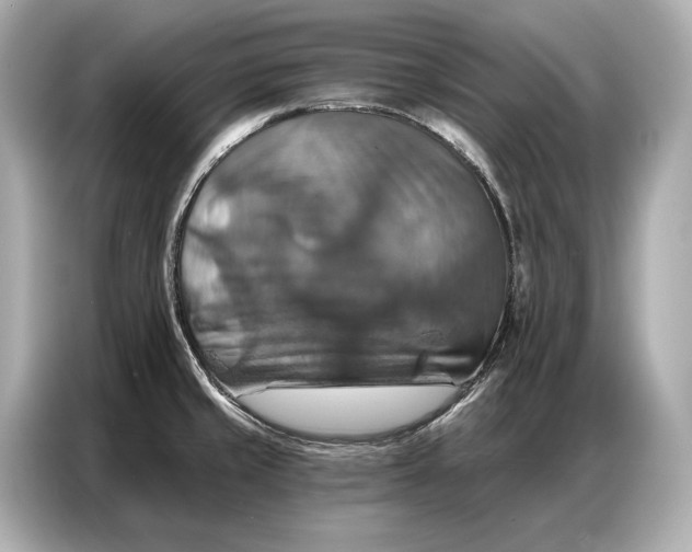 X0000086881429200704300928