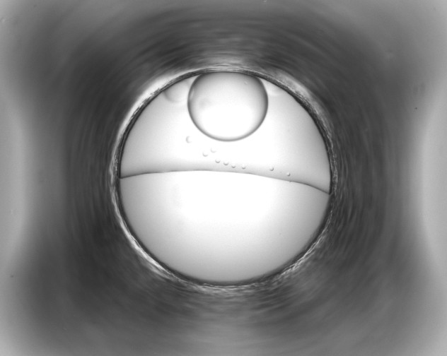 X0000086881432200704300928