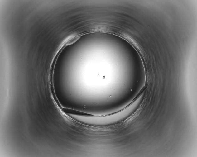 X0000086881434200704300928