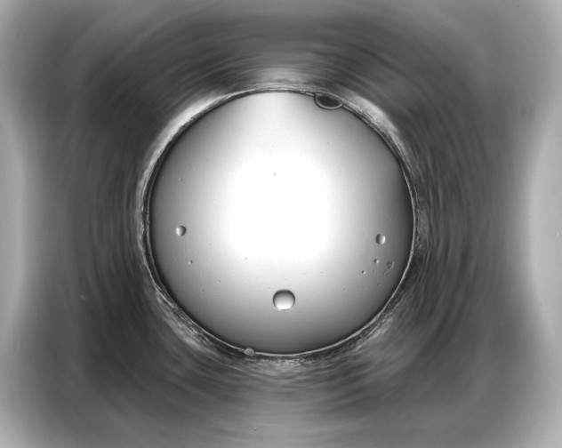 X0000086881435200704300928