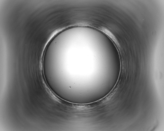 X0000086881436200704300928