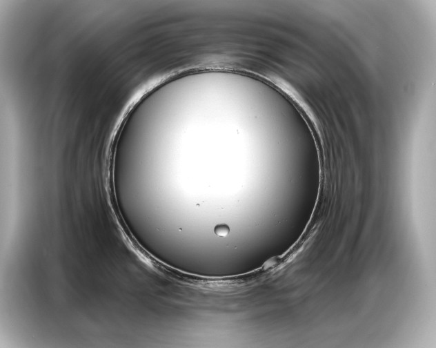 X0000086881437200704300928