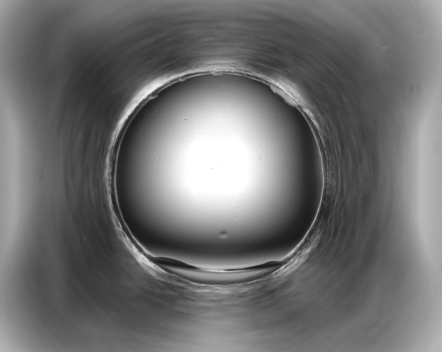 X0000086881438200704300928