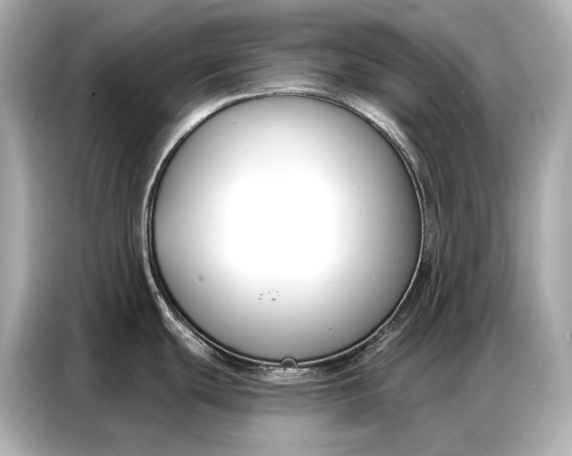 X0000086881439200704300928