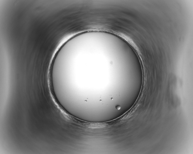 X0000086881440200704300928