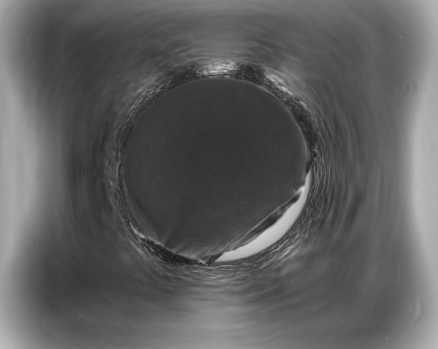 X0000086881441200704300927