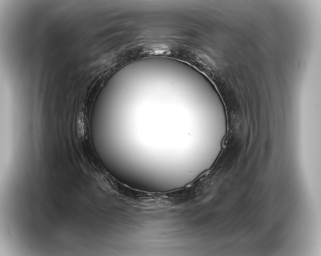 X0000086881442200704300927