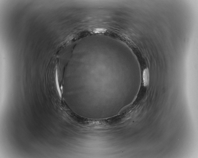 X0000086881443200704300927