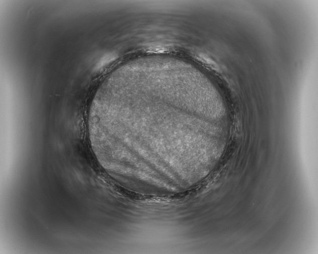 X0000086881446200704300927