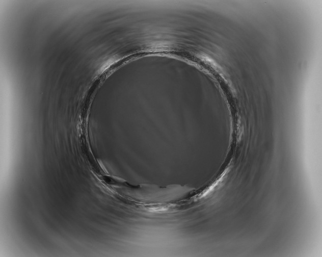 X0000086881449200704300927