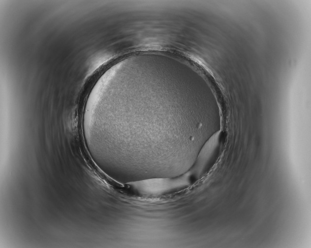 X0000086881450200704300927