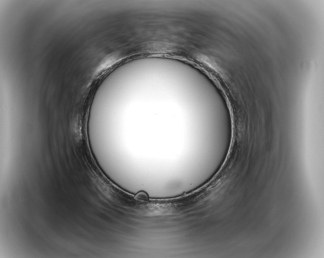 X0000086881451200704300927