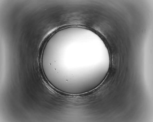 X0000086881452200704300927