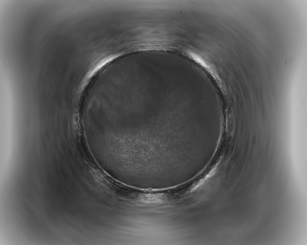 X0000086881453200704300927