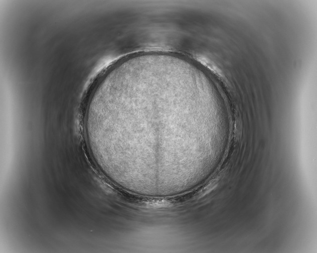 X0000086881454200704300927