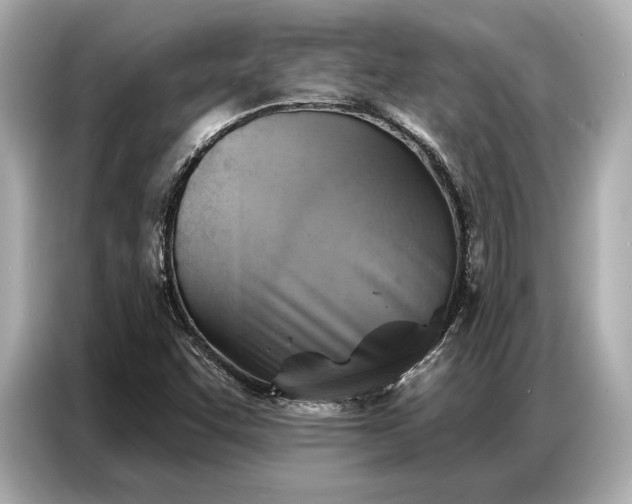 X0000086881455200704300927