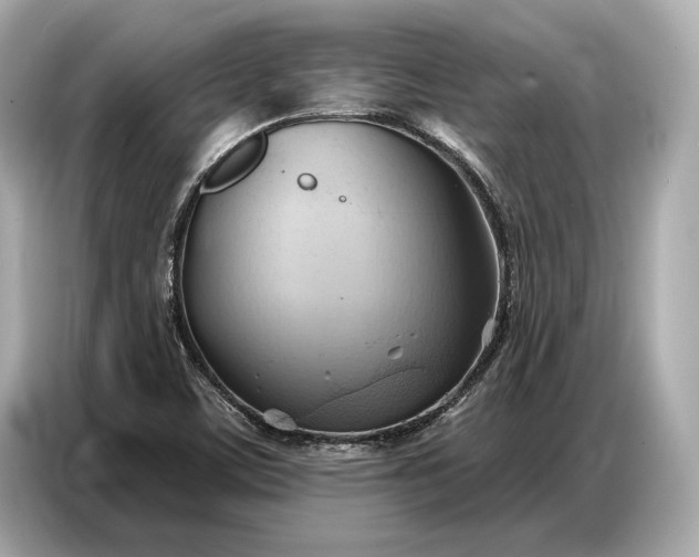 X0000086881459200704300927