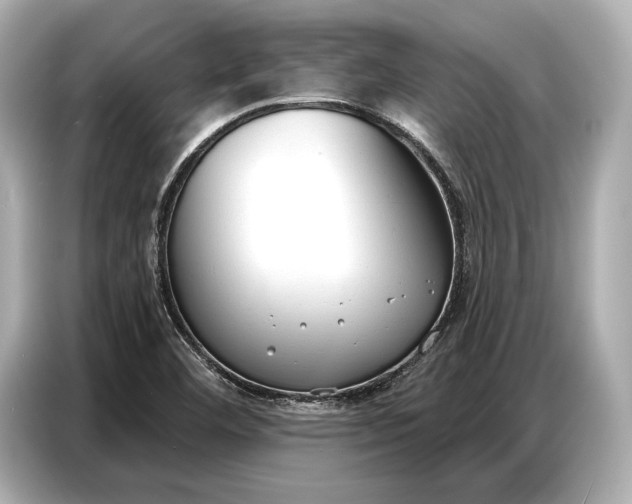 X0000086881460200704300927