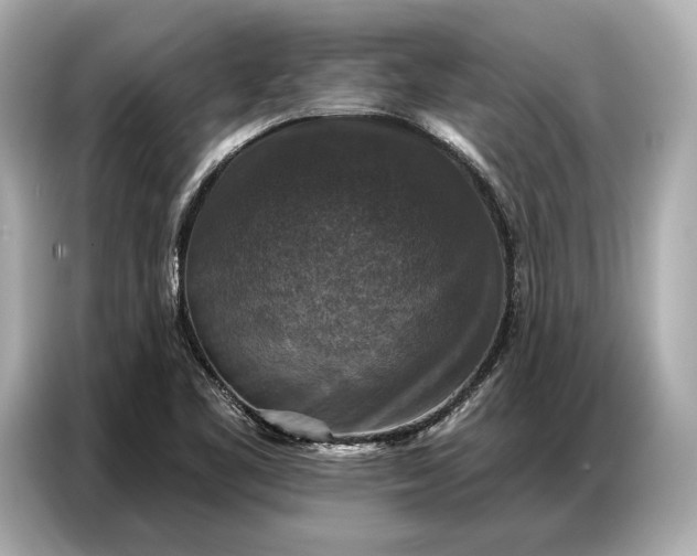 X0000086881461200704300927