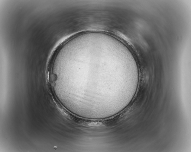 X0000086881462200704300927