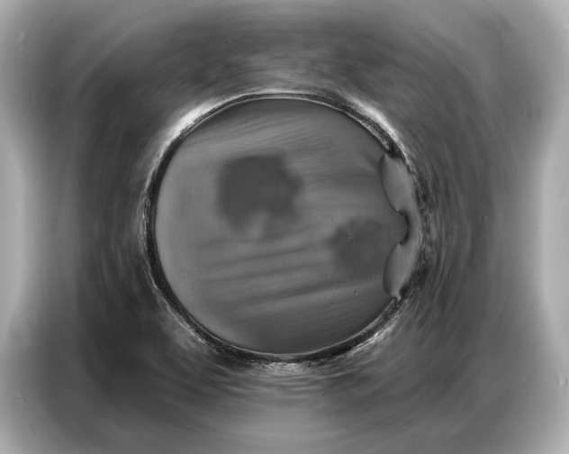 X0000086881463200704300927