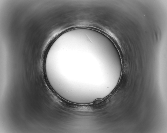 X0000086881464200704300927