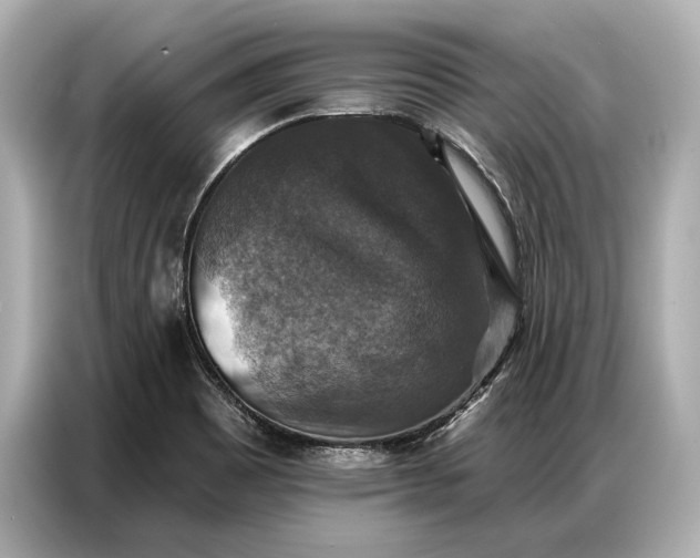 X0000086881465200704300927