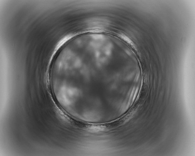 X0000086881466200704300927