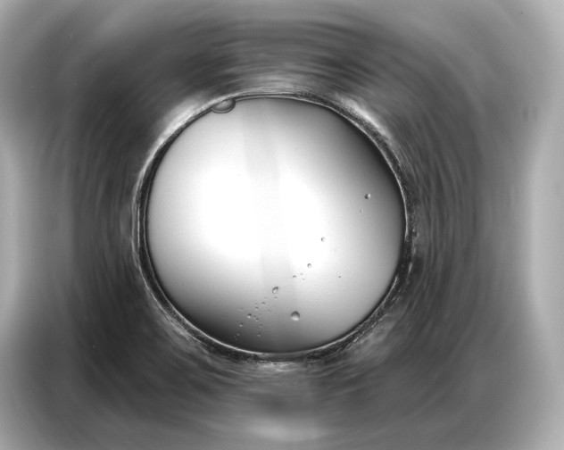 X0000086881467200704300927