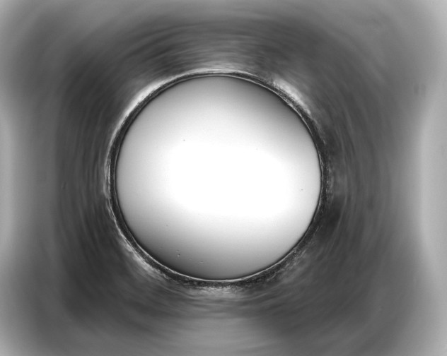 X0000086881468200704300927