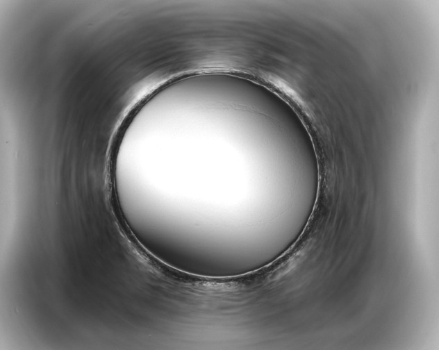 X0000086881469200704300927