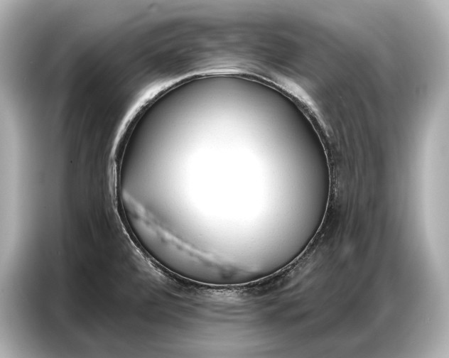 X0000086881472200704300927