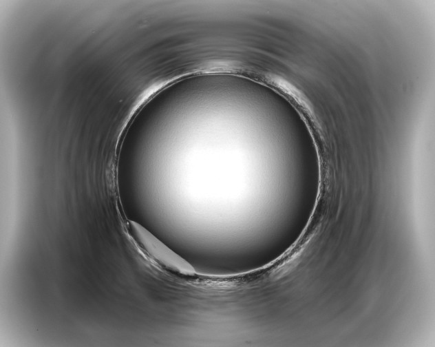 X0000086881473200704300927