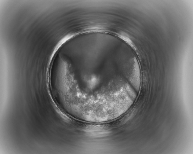 X0000086881474200704300927