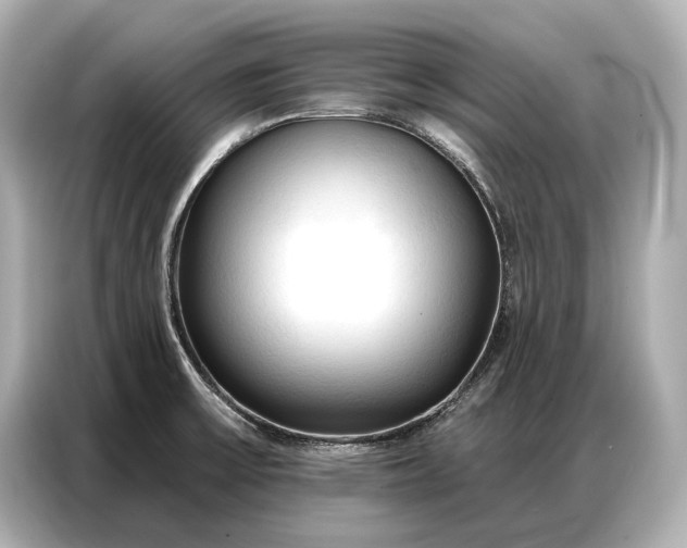 X0000086881475200704300927