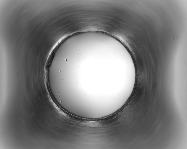 X0000086881476200704300927