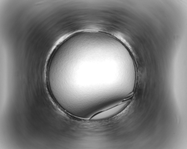 X0000086881477200704300927