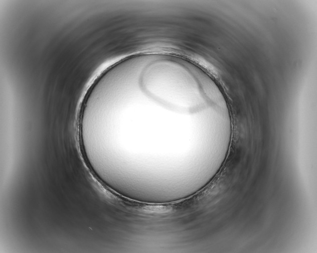 X0000086881478200704300927