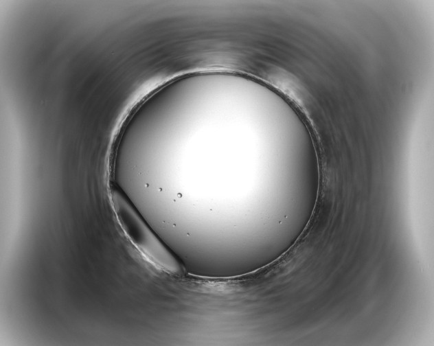 X0000086881480200704300927