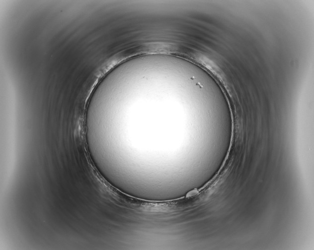 X0000086881481200704300927