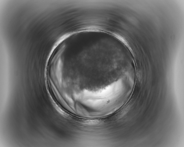 X0000086881482200704300927