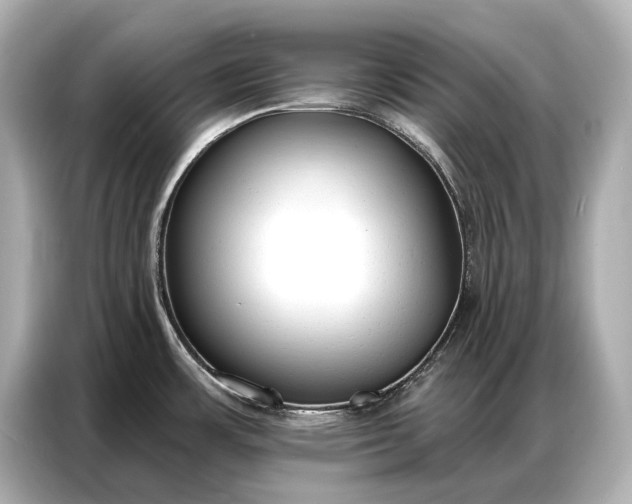 X0000086881483200704300927