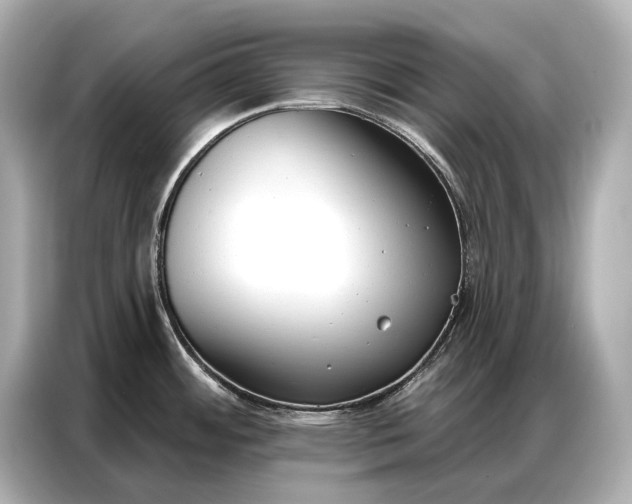 X0000086881484200704300927