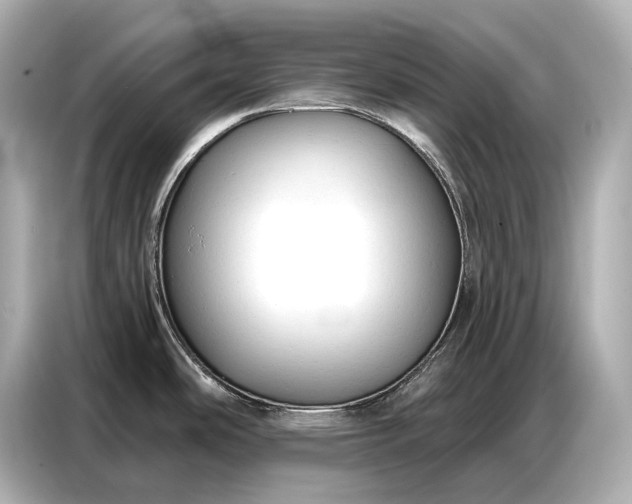 X0000086881486200704300927