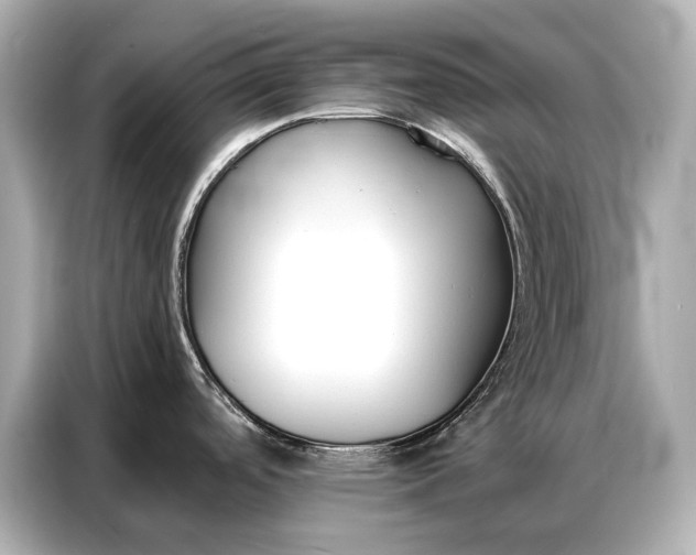 X0000086881488200704300927