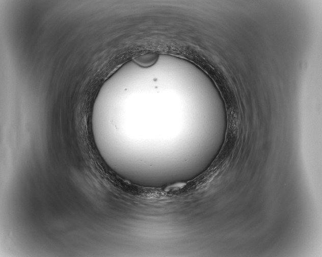 X0000086881489200704300926