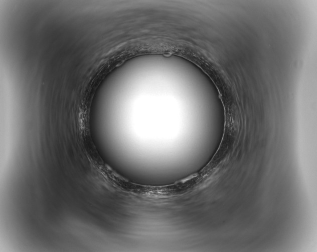 X0000086881490200704300926