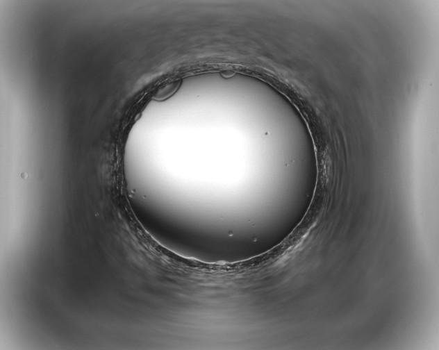 X0000086881494200704300926