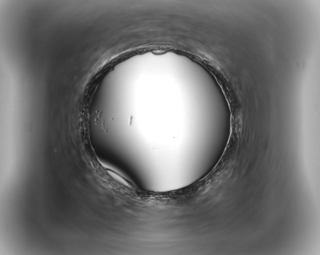 X0000086881496200704300926